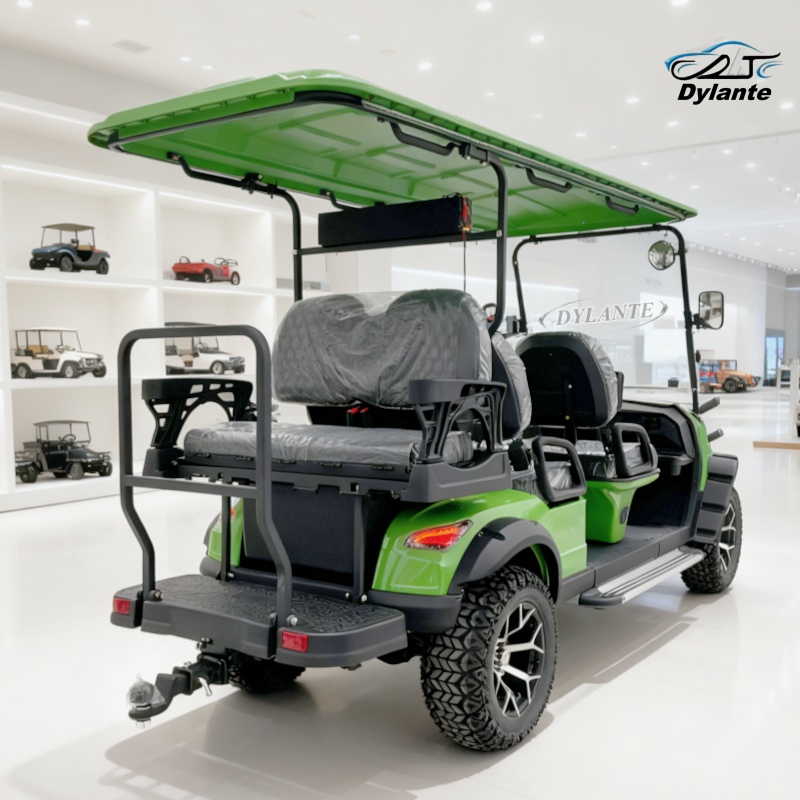 Electric Sightseeing Car 6 Sea - Golf Equipment Manufacturers avaliação e preço